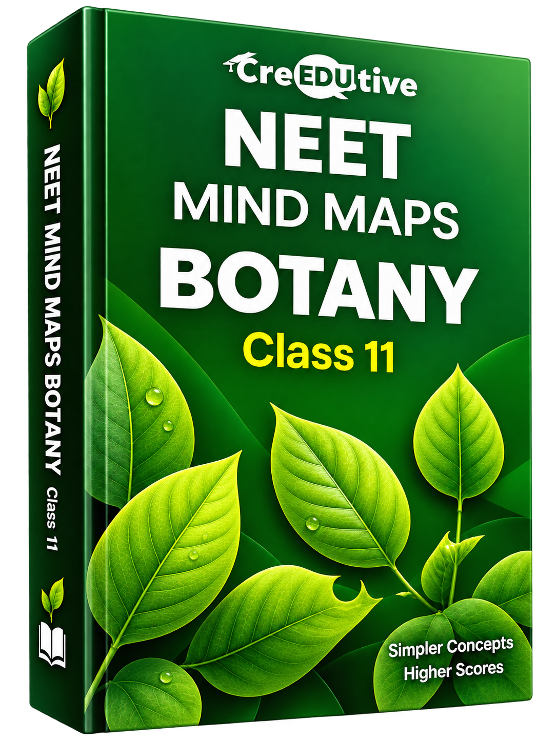 NEET Mind Maps Botany - Class 11