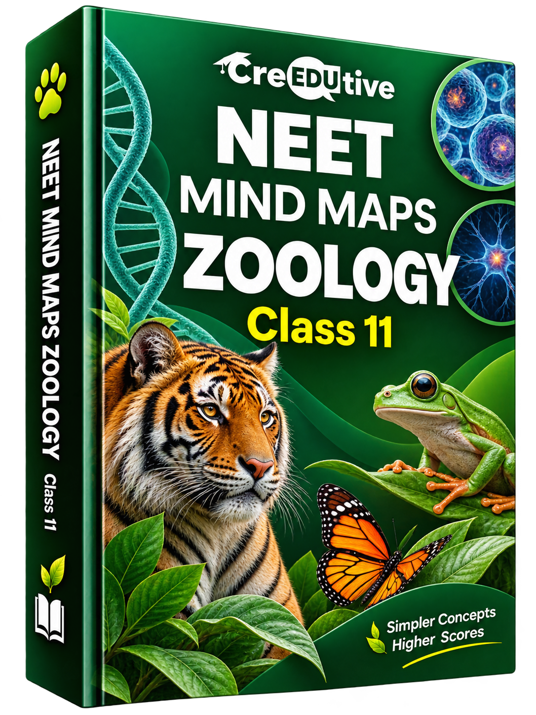 NEET Mind Maps Zoology - Class 11